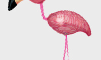 Ходячая фигура "Фламинго"   Размер фольги: Высота 165 см. Полет с гелием: 2  недели Цена: 200 грн.